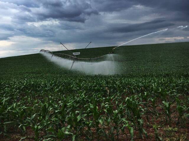 #1157 - Fazenda para Venda em Porto Belo - SC - 2