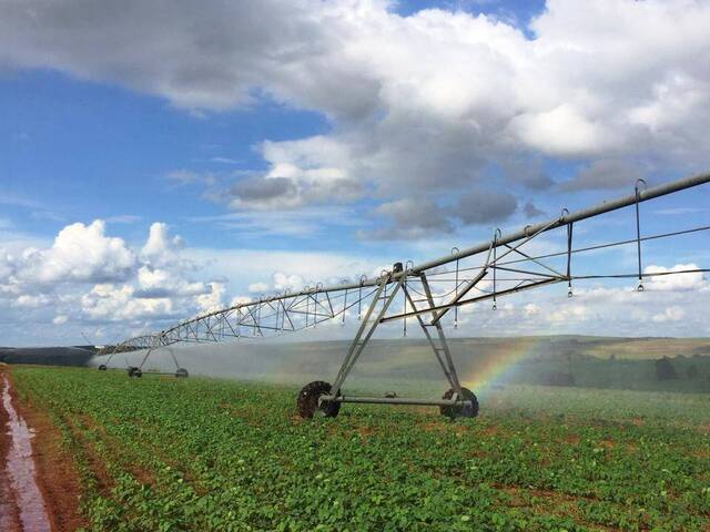 #1157 - Fazenda para Venda em Porto Belo - SC - 3